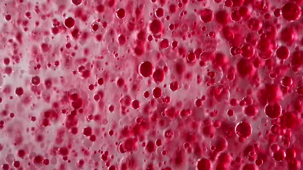 Abstract Background Rad Bubbles Floating Looped Video