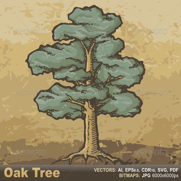 Oak Tree Sketch - Flowers & Plants Nature