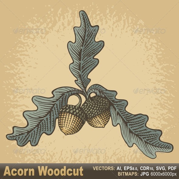 Acorn Woodcut - Flowers & Plants Nature