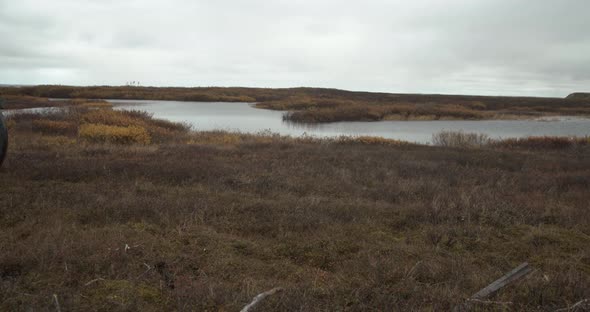 The Allterrain Vehicle Travels Through the Tundra to the Sea alt