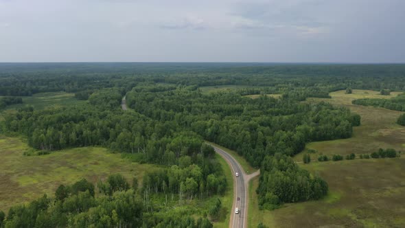 Forest, fields and road aerial view