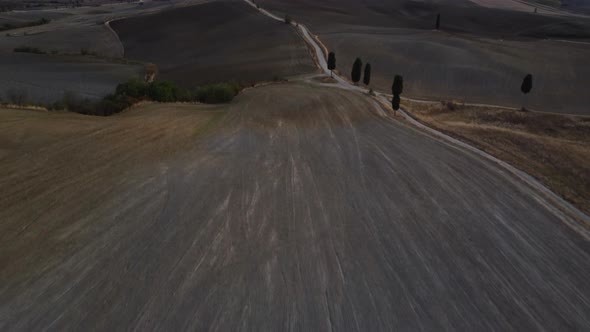 Val d'Orcia Cypress Trees Road and Farmhouse in Tuscany Aerial View alt