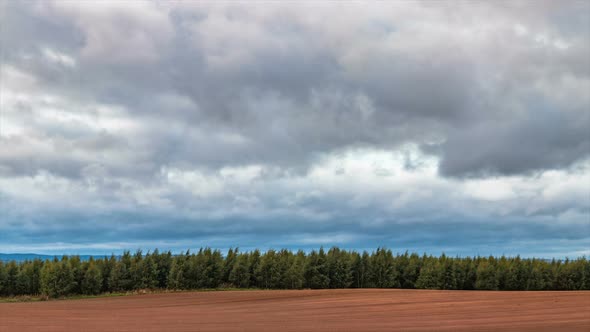 Raw Plowed Field near Forest with Autumn Sky.