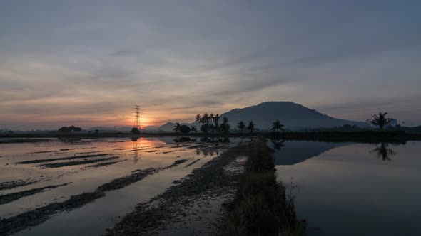 Timelapse sunset flood paddy field  alt