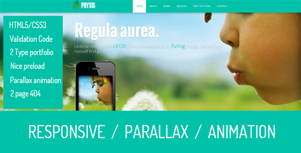 Physis -One Page - ThemeForest 6394992