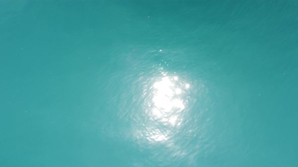 GURZUF CRIMEA Aerial Panoramic View on Gurzuf Bay with Bear Mountain AyuDag and Rocks Adalary Artek alt