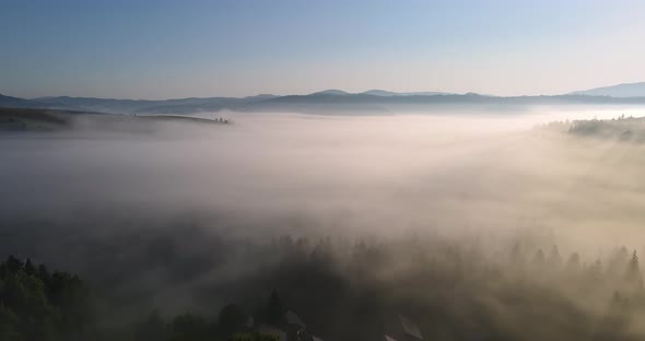 Carpathian Mountains, Densely Covered With Forests. Fog