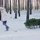 A Child Carries a Christmas Tree in a Sleigh - VideoHive Item for Sale