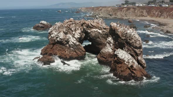 Birds sitting on Arched Rock on the ocean with waves crashing near the Beach Bodega Bay Highway 1 in alt