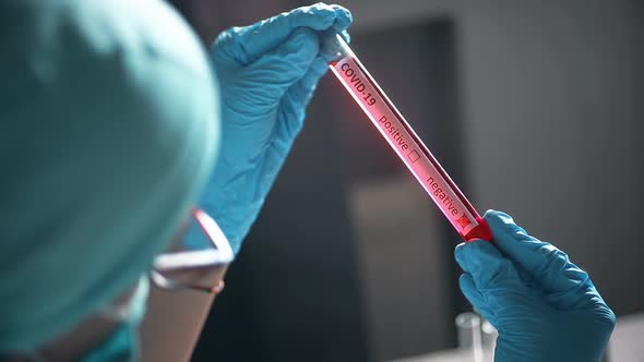 Doctor hands holding a coronavirus COVID-19 negative test tube