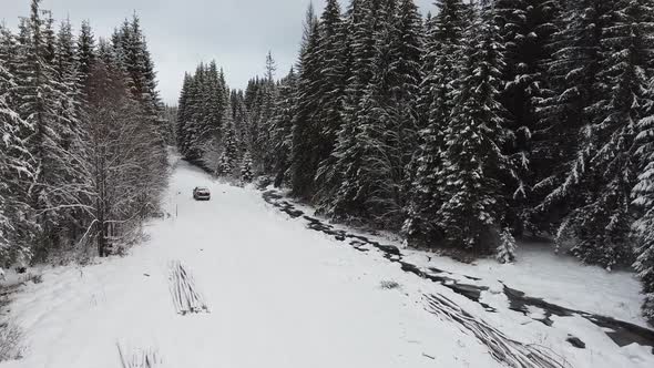 Wild Forest During Winter With A Car And River Beside A Road