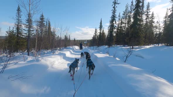 POV on a Dog Sled on a Snowy Road in Sweden alt