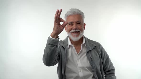 Stylish Old Man with a Gray Beard and Hair Shows a Gesture Everything is Ok