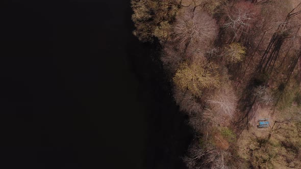 Aerial Atmospheric View of Edge of Shore with Trees and Black Water of Lake alt