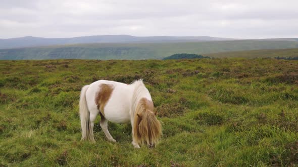 Slow pan of beautiful view over Hay Bluff with a pony alt