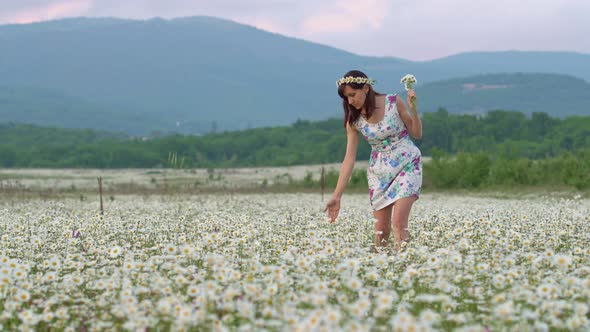 Beautiful Girl in Meadow of Camomile Flower