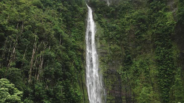 Aerial drone camera shoots water falling in a Waimoku falls, Maui, Hawaii, USA alt