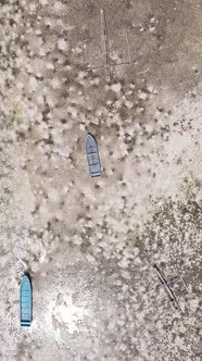 Tanzania  Vertical Video of Low Tide in the Ocean Near the Coast of Zanzibar Slow Motion alt