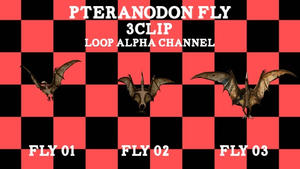Pteranodon Fly 3 Clip Loop