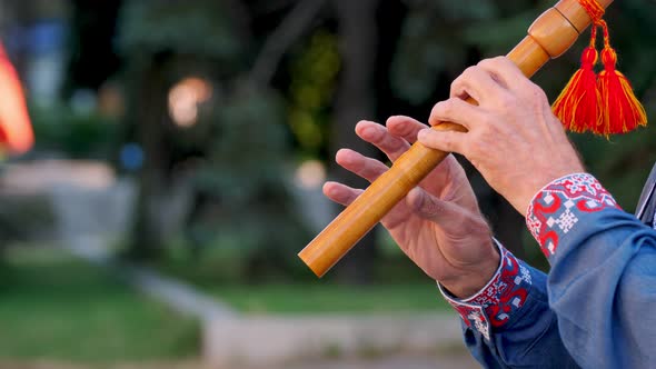 Wooden Flute alt