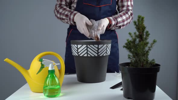 Transplanting Indoor Plants alt