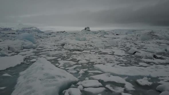 Flying low near the ice