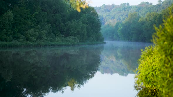 Scenic foggy river water and fresh green trees growing on shores