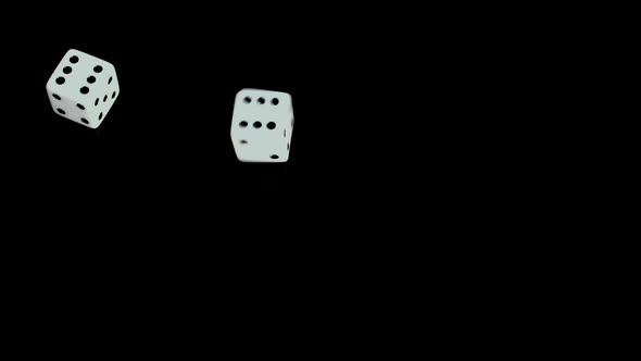 Dice Roll Six Six Making 12 alt