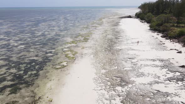 Ocean at Low Tide Near the Coast of Zanzibar Island Tanzania Slow Motion alt