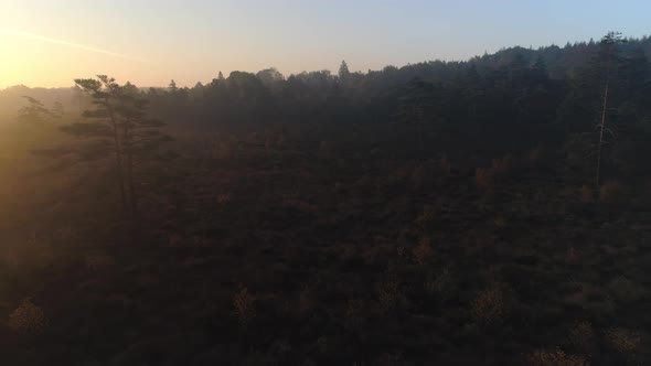 Drone Shot Flying Over Misty Bog at Sunrise