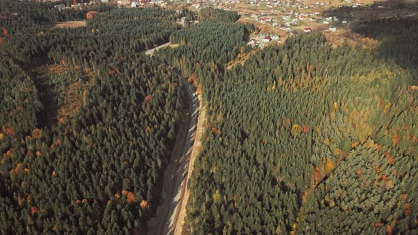 Aerial Drone View Flight Over Pine Tree Forest and Country Road alt