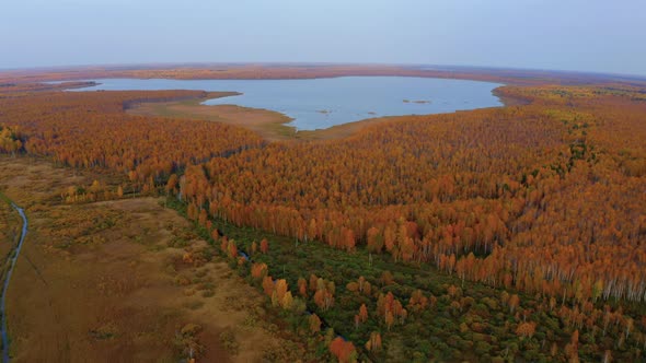 Aerial Top View of Beautiful Lake Surrounded By Colorful Forest in Autumn