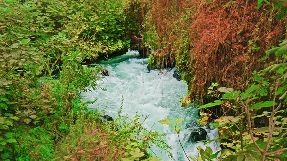 Water Stream (4K) alt