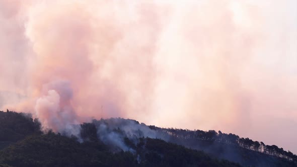 Large Forest Fire In Croatia