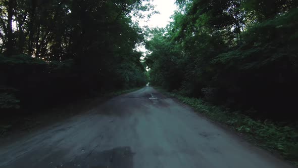 POV Footage of a Road Trip Through a Green Forest alt