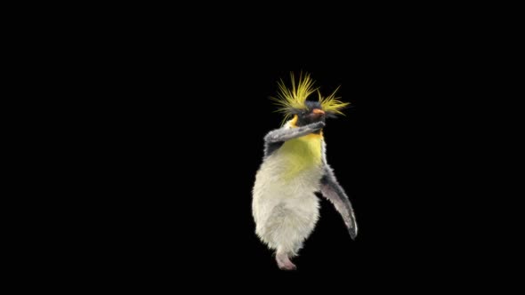 Penguin Dancing HD alt