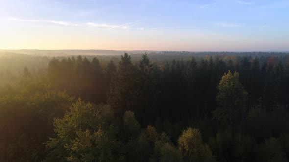 Aerial View of Misty Morning Forest at Sunrise