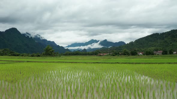 Rice Fields In Vang Vieng 4 K