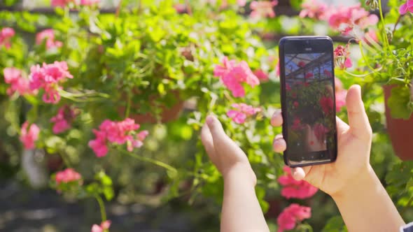 Florist Shoots Video with Smartphone Walking Past Flowers