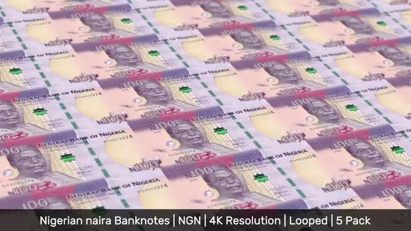 Nigeria Banknotes Money / Nigerian naira / Currency ₦ / NGN / 5 Pack - 4K alt