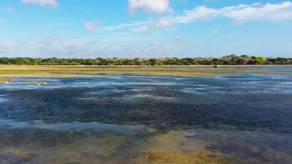 Tropical Landscape with a Lake alt