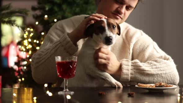 Man with a dog sits at table in Christmas dinner