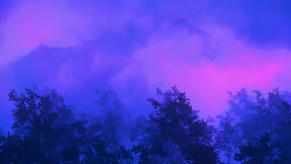 Hurricane Extremely Strong Wind and Heavy Rain alt