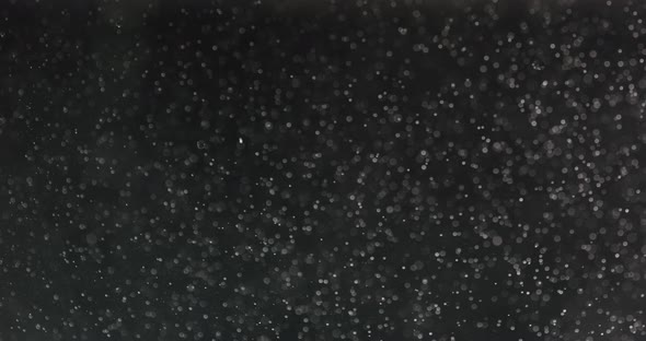 White Bubbles And Particles In Water Against Black Background alt