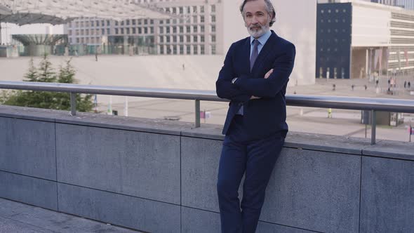 Handsome senior business man outdoor alt