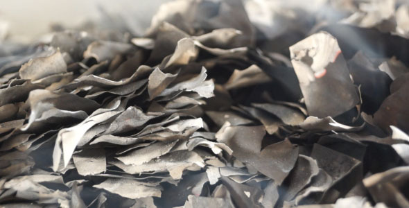 Burnt Pieces of Paper alt