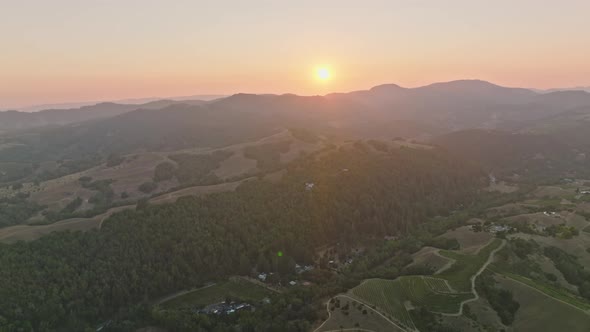 Aerial View of Vineyard Valley in Napa California United States alt