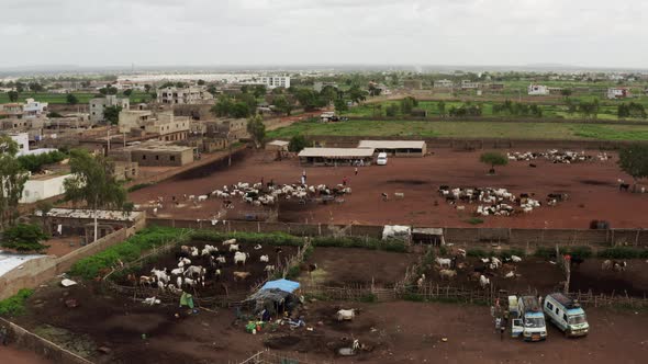 Africa Mali Village And Ox Aerial View 4