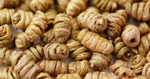 Dendrobium nobile alt