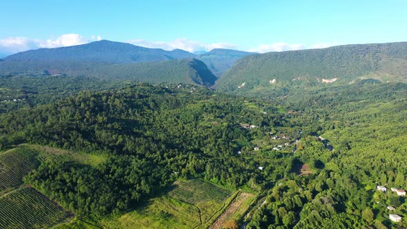 Aerial Shot Large Vineyard Fields Among Mountains alt